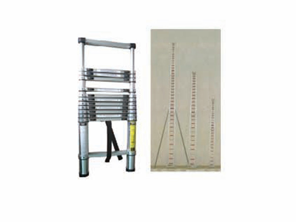 Portable telescopic ladder